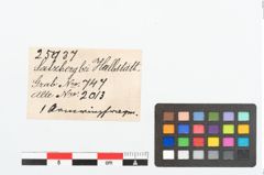 Etikett zu Bronzebuckelarmreif (NHMW-PRAE-025937)
